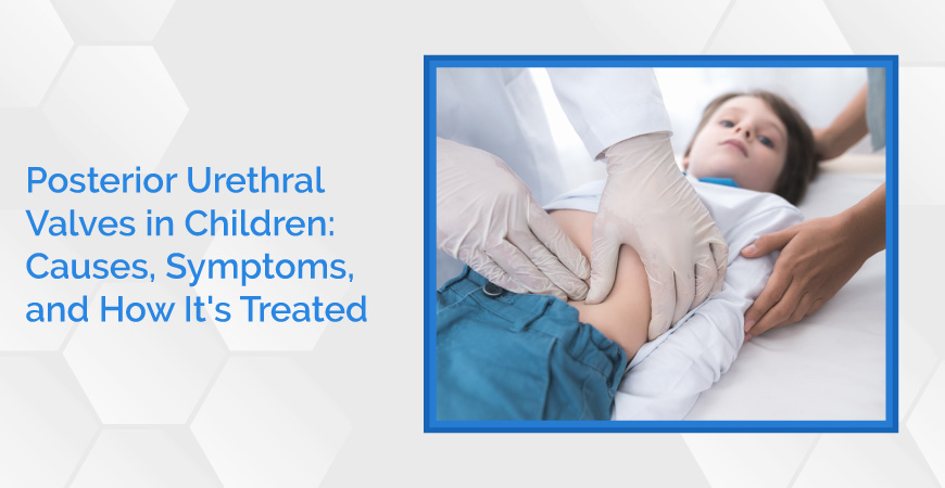 Posterior Urethral Valves In Children Causes, Symptoms, And How It's Treated