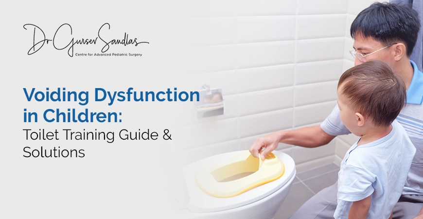 Voiding Dysfunction In Children Toilet Training Guide & Solutions